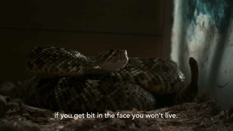(RATTLING)