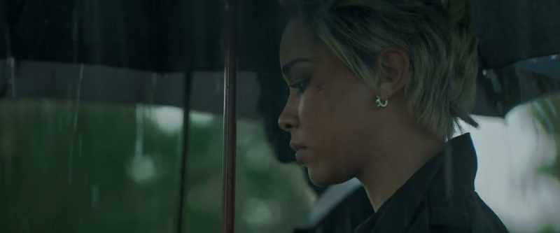 Raven died doing what she did best