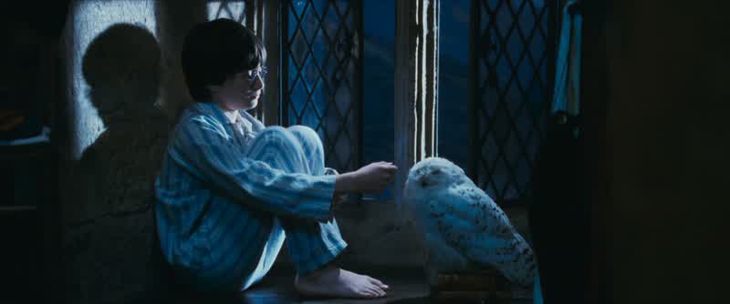 Ravenclaw, follow me