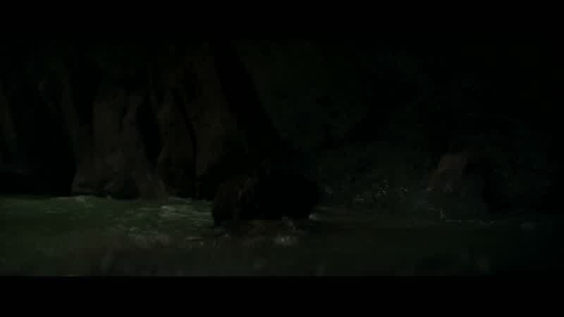 Reach and pull