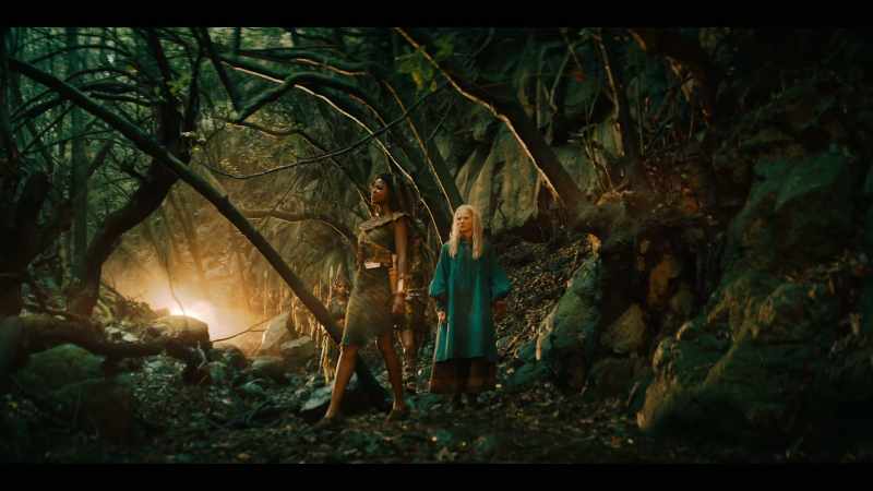 Really don't remember how you came to be in Brokilon Forest?