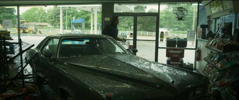 Reckless endangerment, destruction of private property