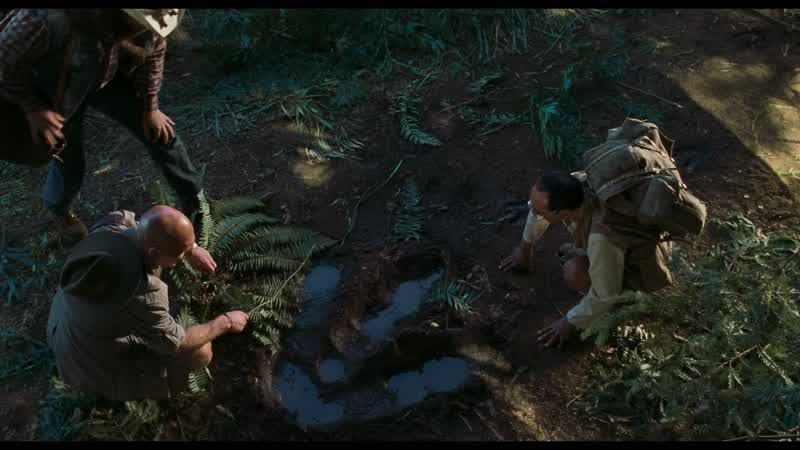 Recognize this trackway?