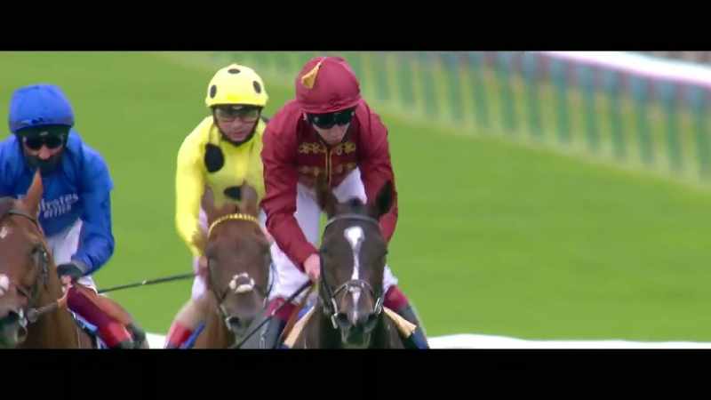 Regal Reality takes second but Kameko takes first