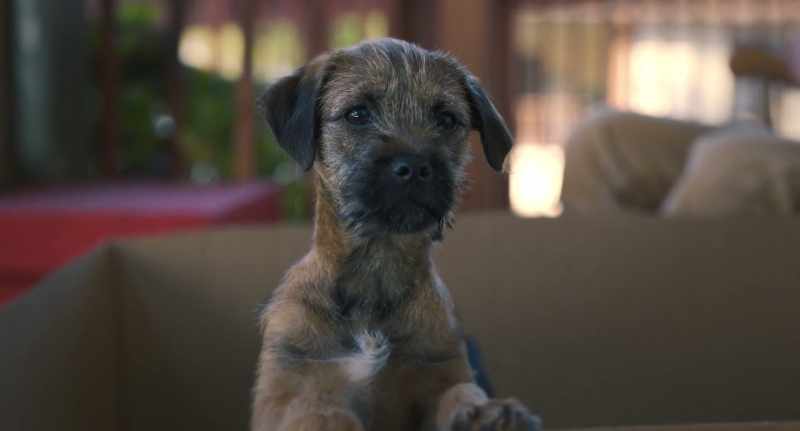 REGGIE: The second Doug laid eyes on me