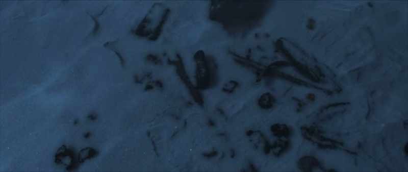 Remains of a campfire were found