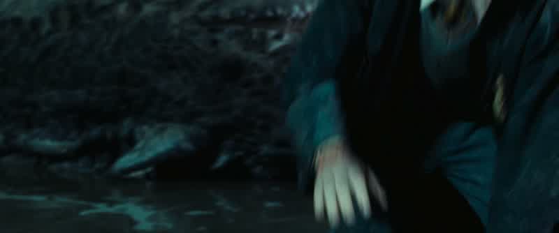 Remarkable, isn't it......how quickly the venom of the basilisk penetrates the body?