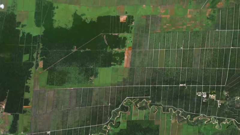 Remarkably, it's possible to restock even highly degraded land