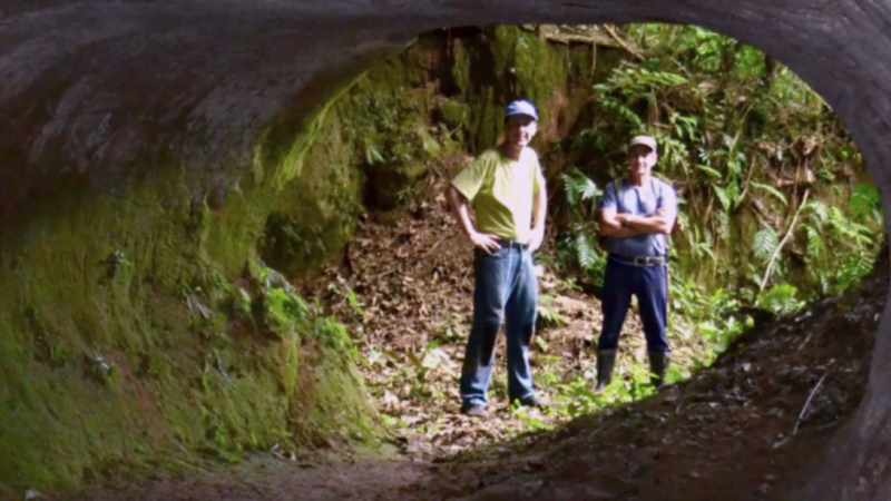 Remember, he's a geologist