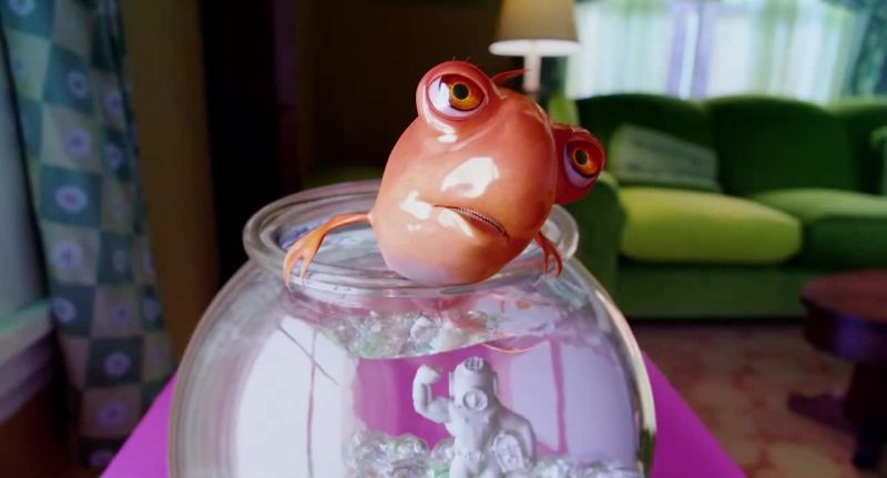 Remember The fish