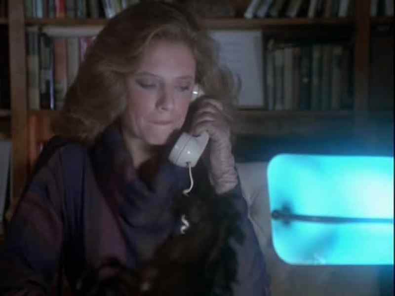 Remington Steele Detective Agency. Please hold