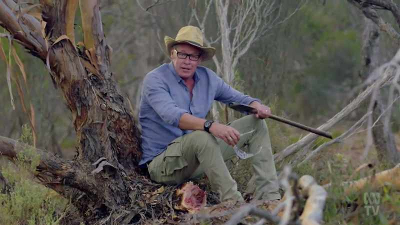 Removing the mallee entirely was next to impossible, because