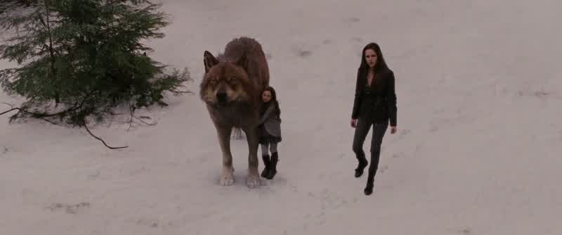 RENESMEE: Who was that?