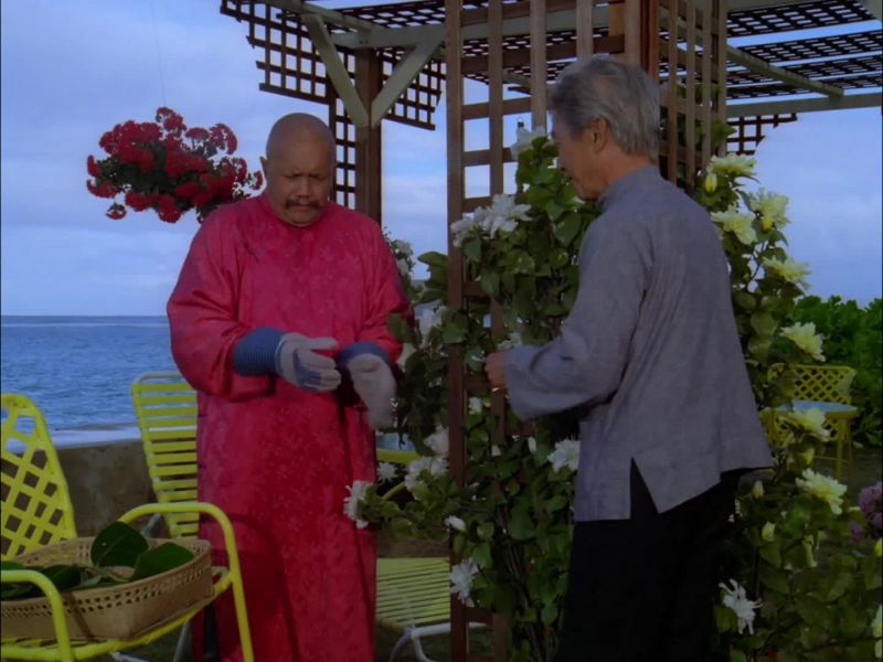 REPORT FROM HONOLULU, SIR