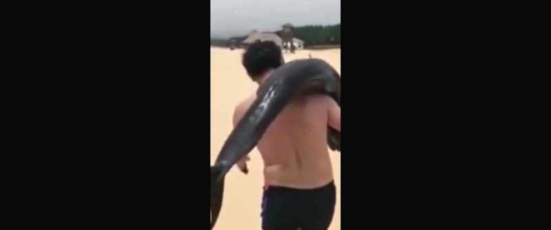 (reporter 11): A tourist has been caught on camera