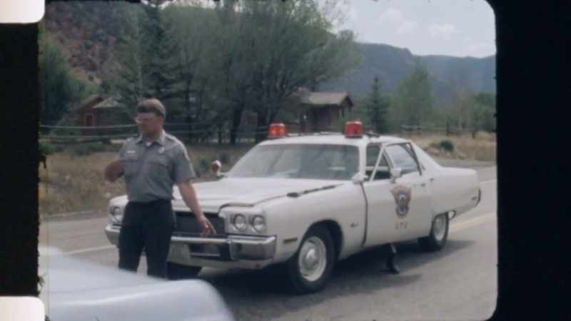 REPORTER 2: Ground units, helicopters, and dogs