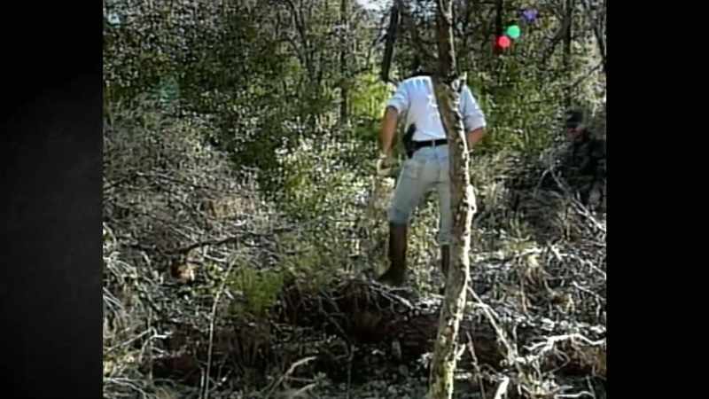 [Reporter] Central Florida is being threatened