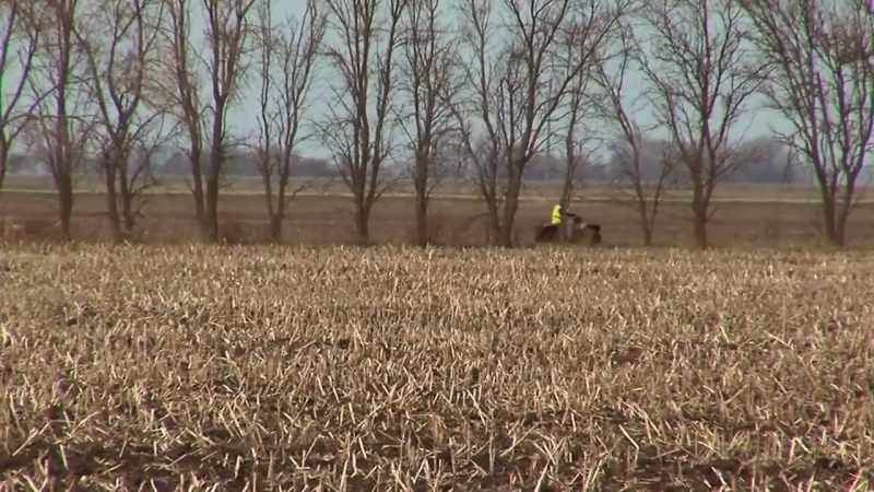Reporter: Countless searches, and still nothing