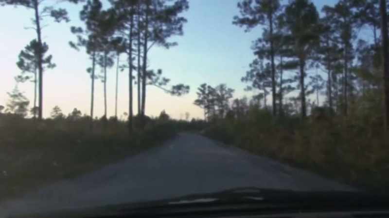 Reporter: DRIVING IN, YOU REALIZE