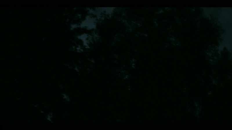 [reporter] It disappeared behind the trees