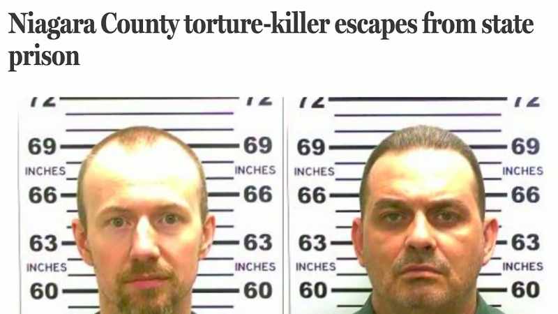 [Reporter] Matt and Sweat escaped
