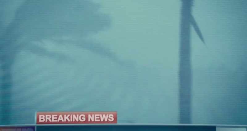 REPORTER: Now, if you're in the area