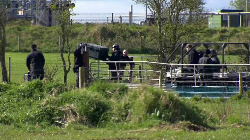 Reporter: This operation is going over old ground