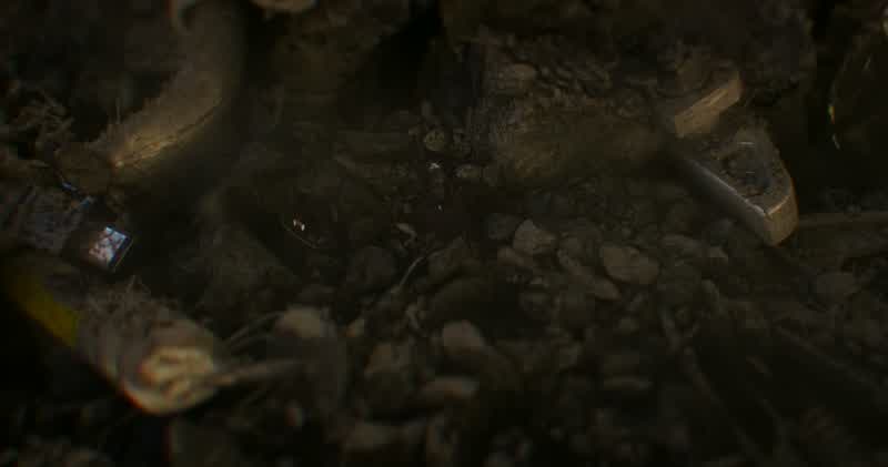 RHODES: Mayday, Mayday!
