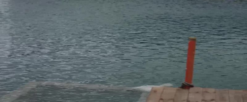 Richard, don't go in the cove, it's not safe there