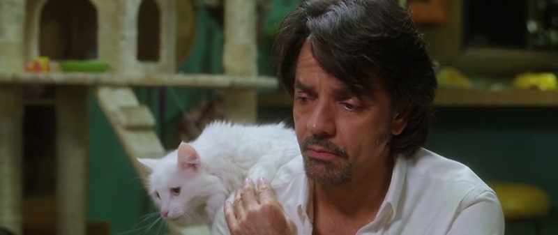 RICK: Well, you'll be happy to know that I've lost everything