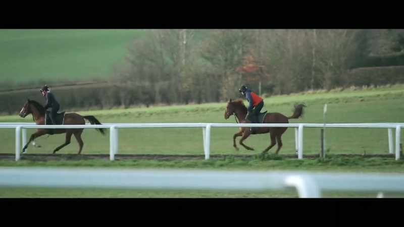 Riding a young, highly strung two-year-old colt