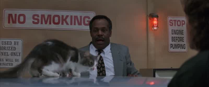 Everybody's outside Just me you and this cat are dumb enough to be hereNearly a cat tastrophe huh Heh