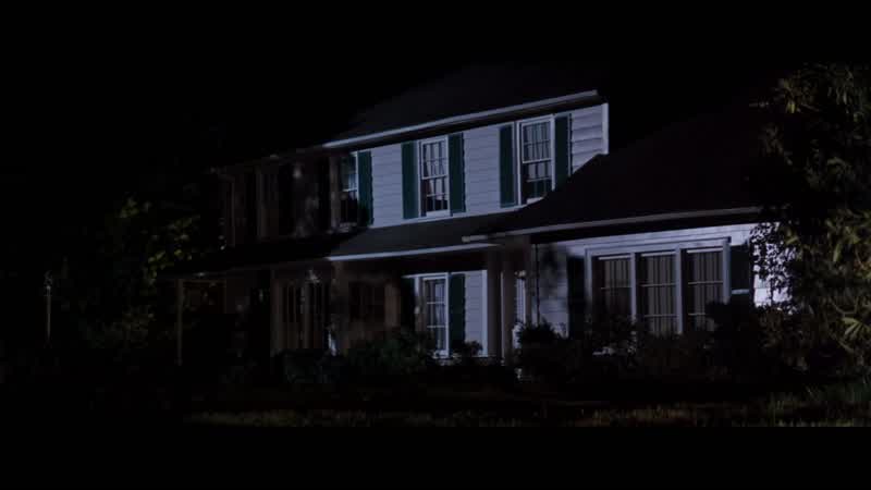 Riggs: You didn't see a face?