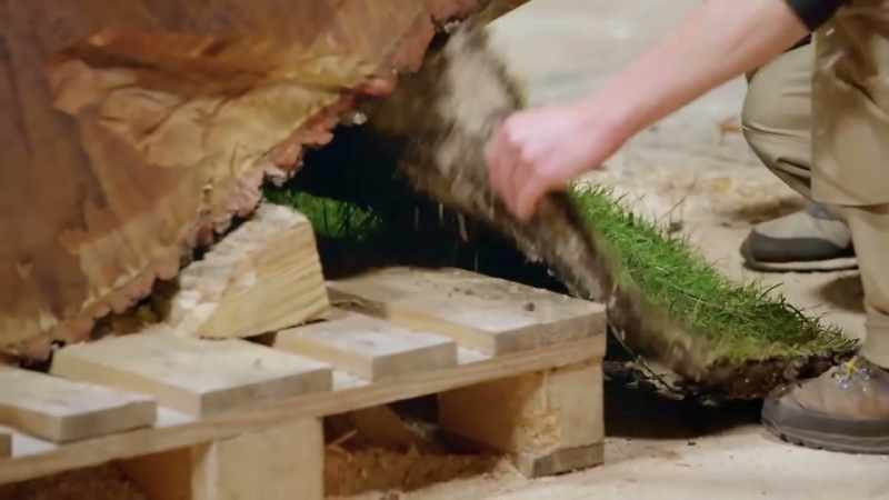 Right, chuck out, grass in, rock in