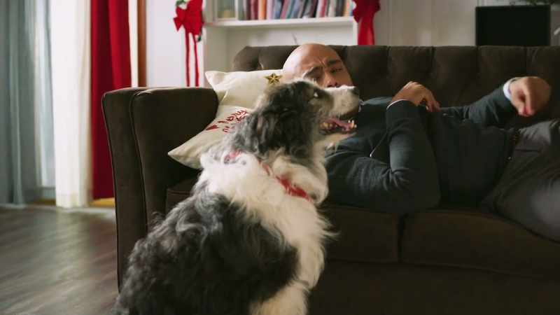 Right. Dog