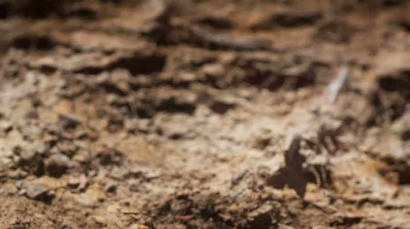 RIGHT NEXT TO THAT BONE THAT NATE JUST UNCOVERED