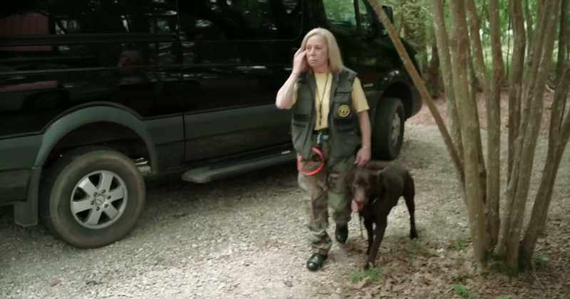 Right now, we have a dog roaming the property