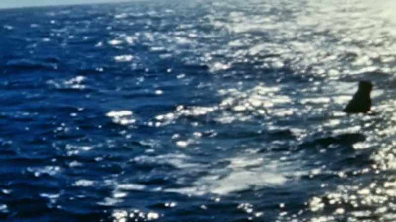 Right now, the Destroyer Noa is coming