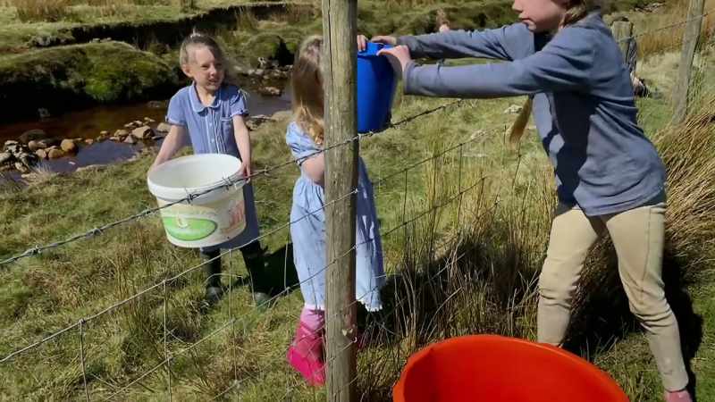 Right, pass it here. You pass the bucket over here and I'll tip in