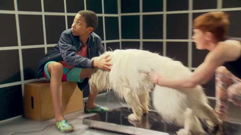 RILEY DOES NOT LOOK GREAT WHEN SHAKING