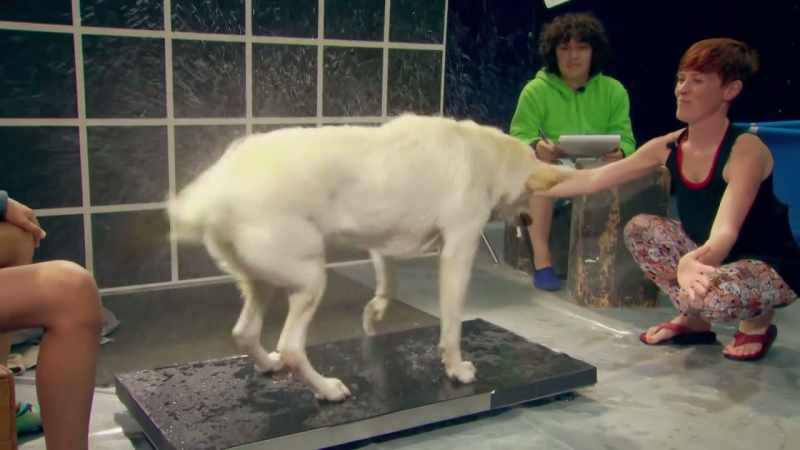 RILEY'S RESULT WAS WELL ABOVE 70, BUT CODA'S FELL WAY SHORT