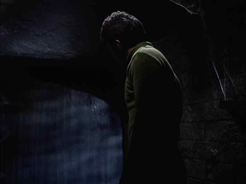 [ Ringing ]