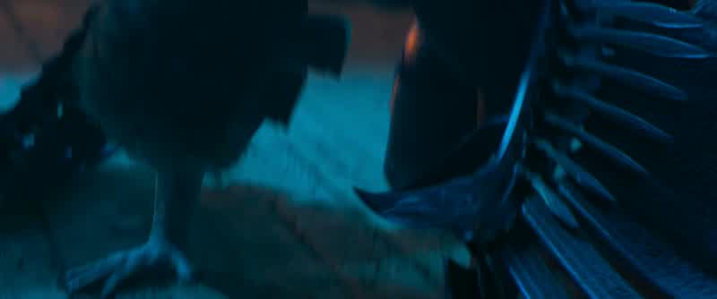 Rise, my angel