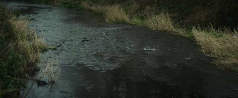 (river babbling) (birds chirping)