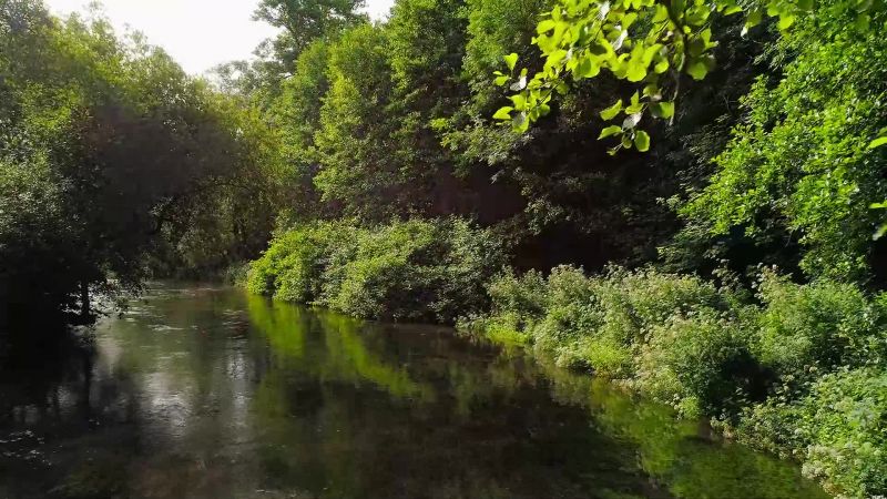 Rivers, being comparatively shallow, warm quickly