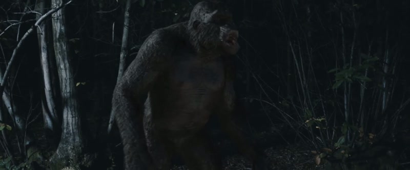 [ROARING]