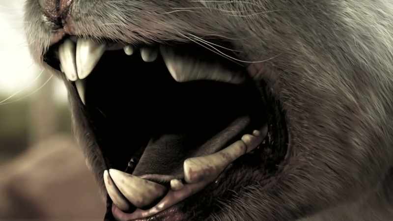 (ROARING)