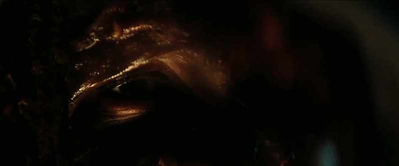 [ Roars ]