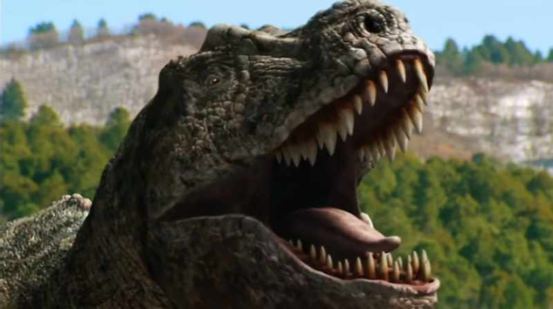 [ ROARS ]