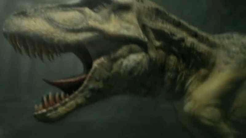 [ ROARS ]